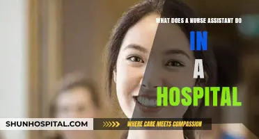 Essential Roles of a Nurse Assistant in Hospital Patient Care