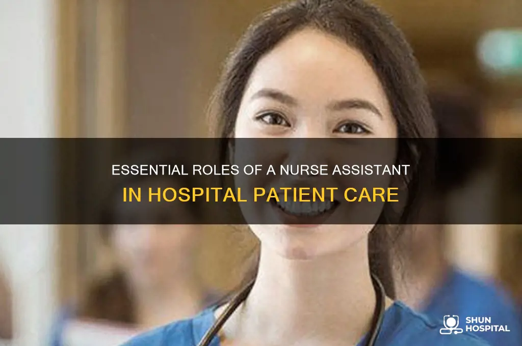 what does a nurse assistant do in a hospital