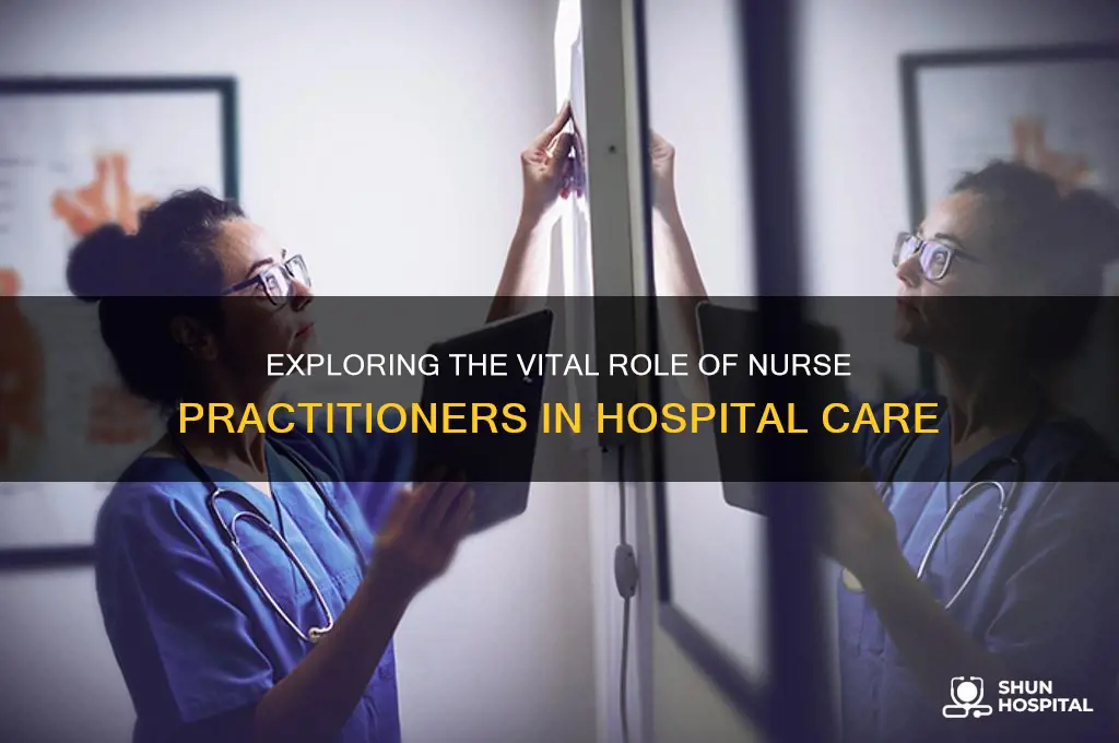 what does a nurse practitioner do in a hospital