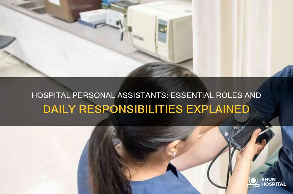 what does a personal assistant do in a hospital
