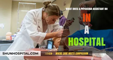 Physician Assistant Role: Hospital Responsibilities, Patient Care, and Team Collaboration