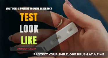 Understanding Positive Hospital Pregnancy Test Results: Appearance and Interpretation