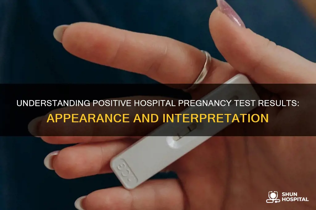what does a positive hospital pregnancy test look like