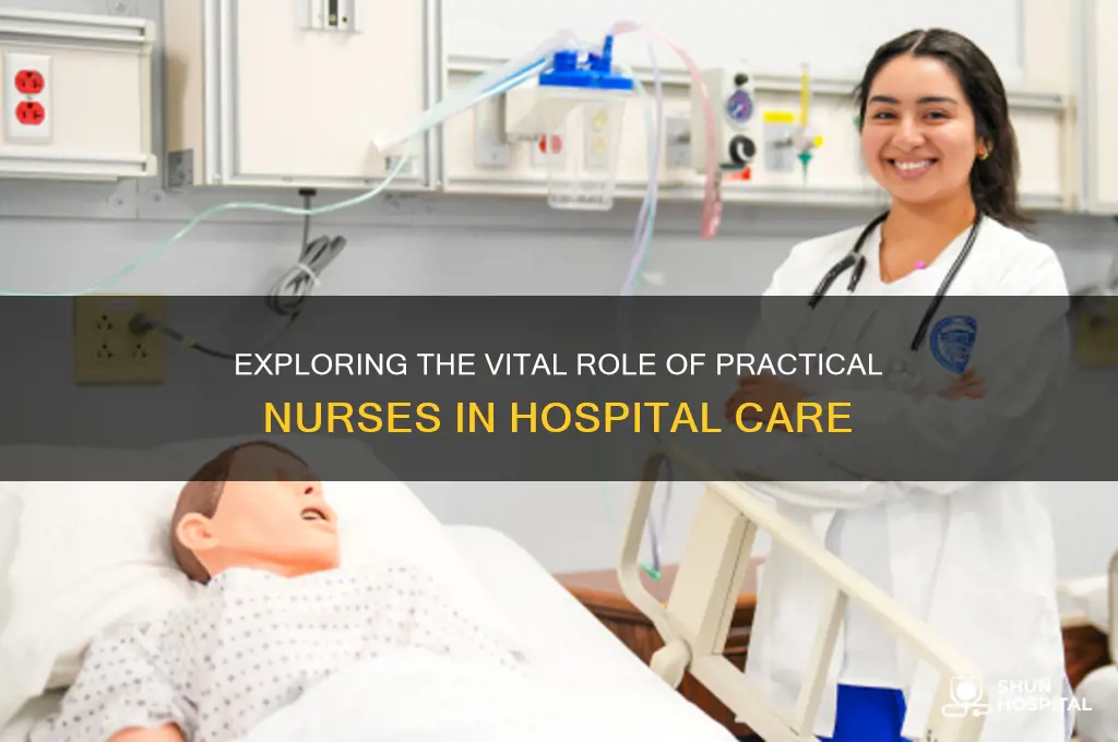 what does a practical nurse do in a hospital