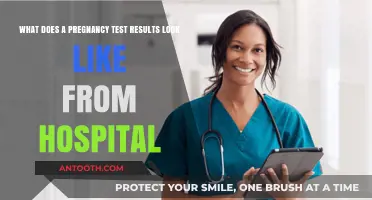 Understanding Hospital Pregnancy Test Results: What to Expect Visually