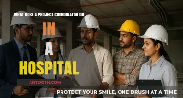 Hospital Project Coordinator Role: Responsibilities, Skills, and Daily Tasks Explained