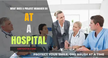 Hospital Project Manager Role: Responsibilities, Skills, and Daily Tasks Explained