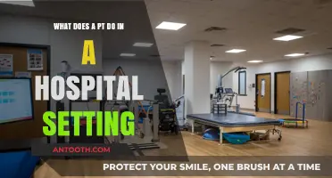 Understanding the Role of a Physical Therapist in Hospital Care