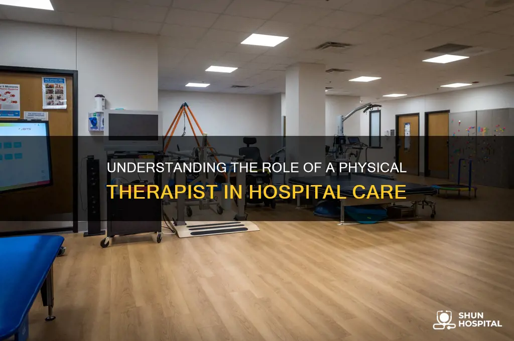 what does a pt do in a hospital setting