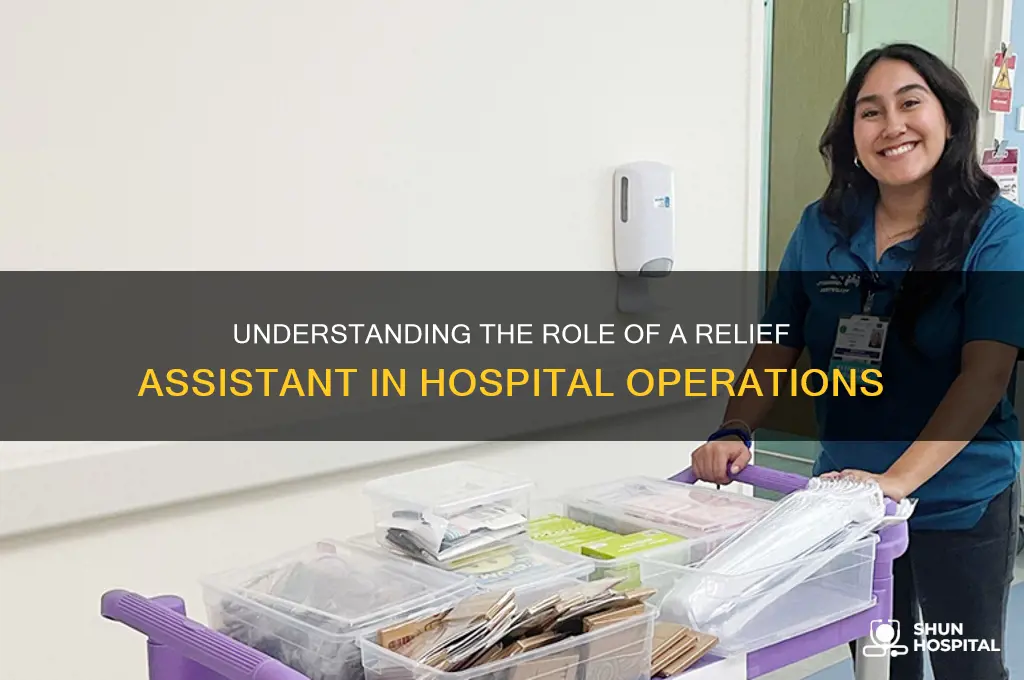 what does a relief assistant do in a hospital