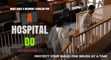 Understanding the Role of a Resident Scholar in Hospital Settings