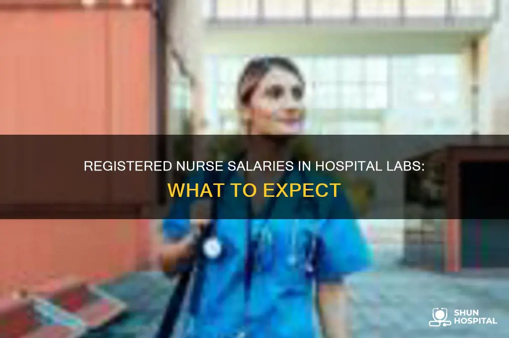 what does a rn make in a lab at hospital