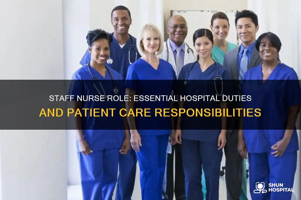 what does a staff nurse do in a hospital