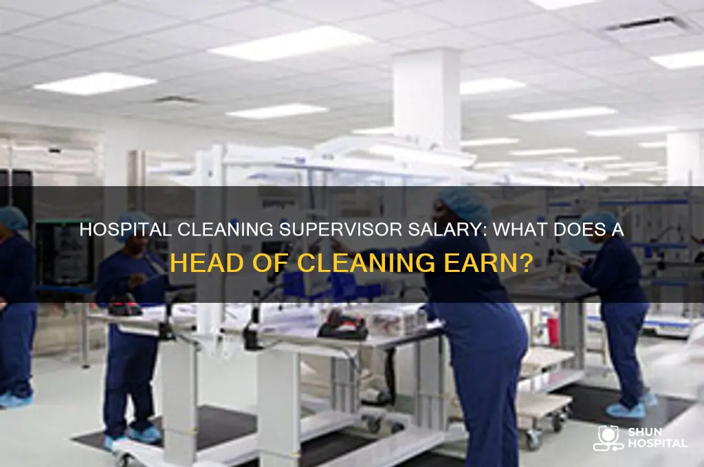 what does a supervisor head of cleaning a hospital make