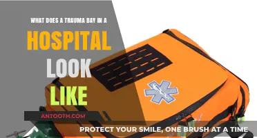 Inside a Trauma Bay: Equipment, Layout, and Life-Saving Design
