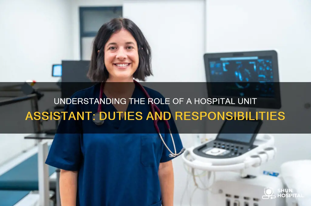 what does a unit assistant do in a hospital