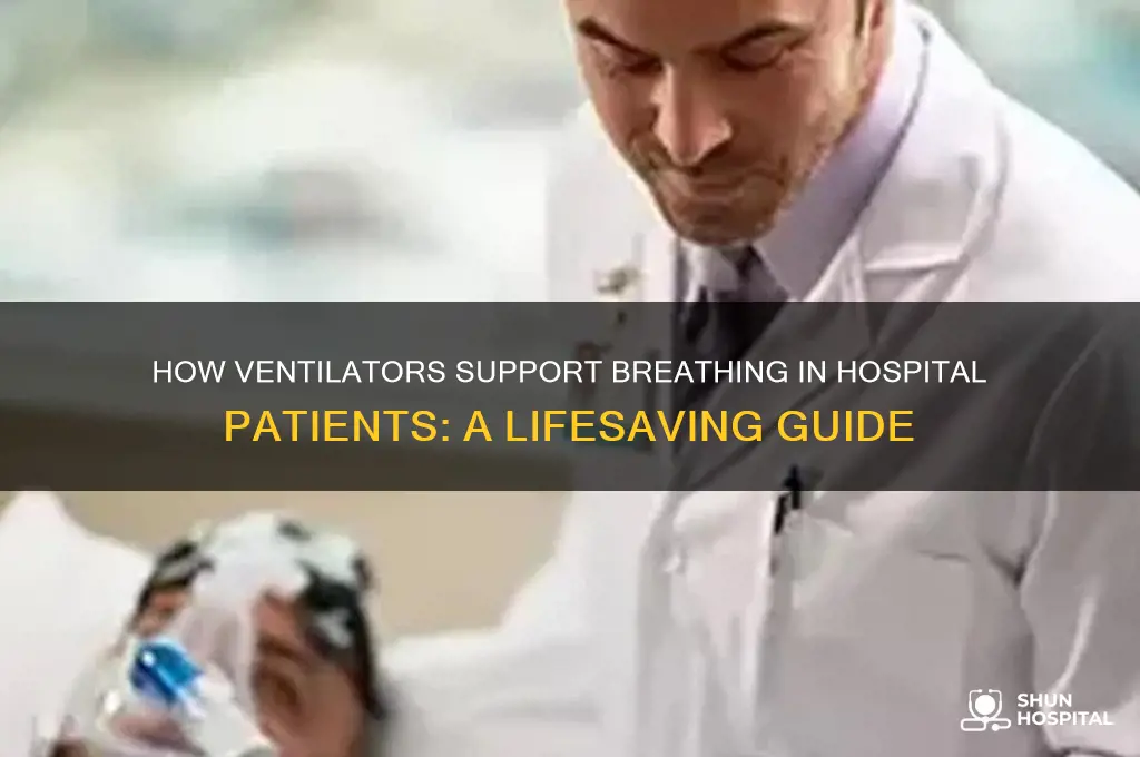 what does a ventilator do for you in the hospital
