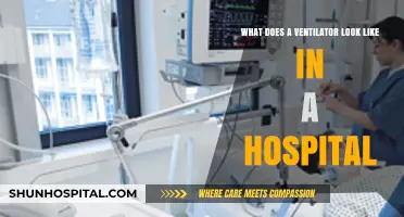 Exploring the Appearance and Function of Hospital Ventilators