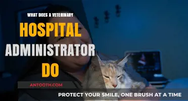Veterinary Hospital Administrators: Managing the Business of Pet Care