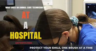 Animal Care Technician Role: Hospital Duties and Responsibilities Explained