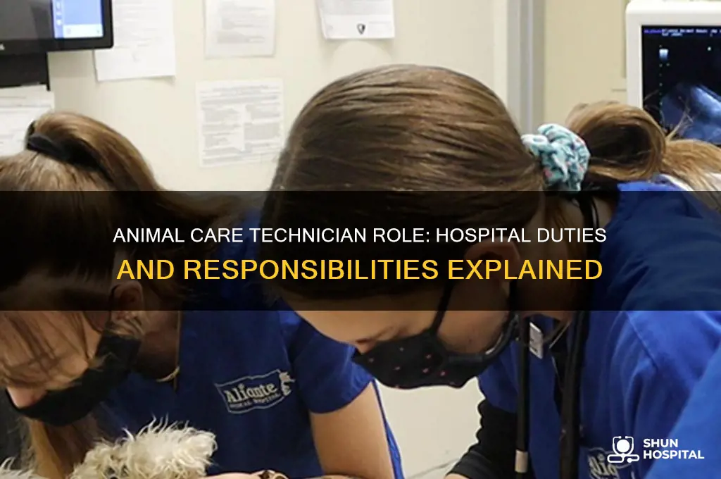 what does an animal care technician do at a hospital
