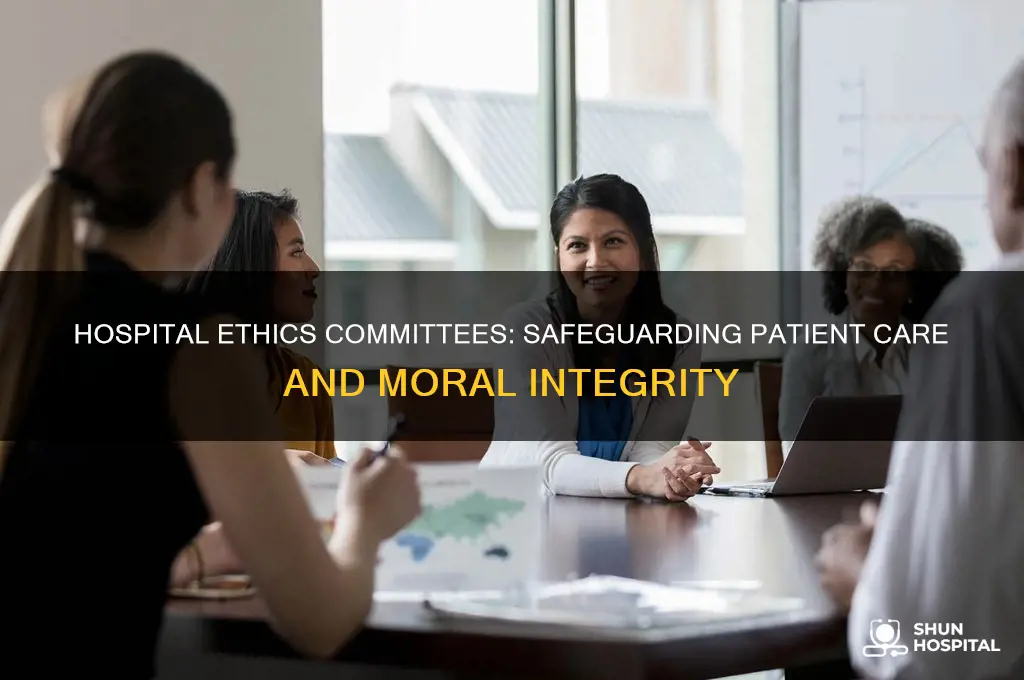 what does an ethics committee do in a hospital