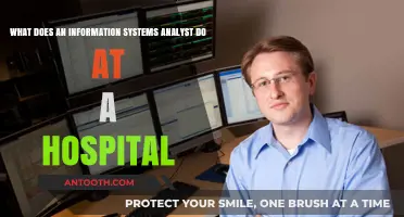 Unveiling the Role of a Hospital Information Systems Analyst