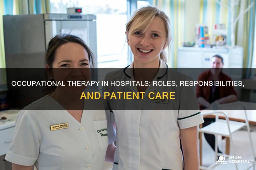 what does an occupational therapist do in a hospital