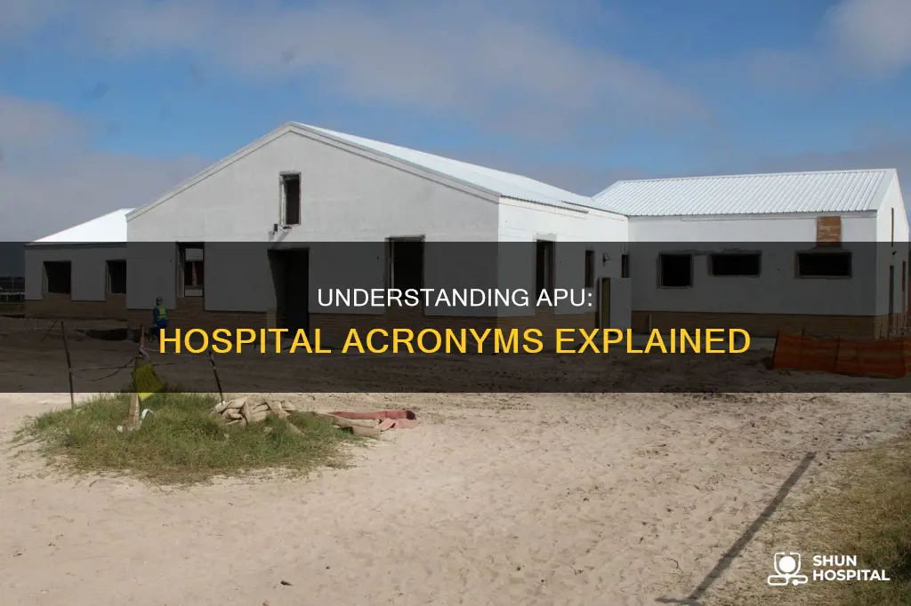 what does apu stand for in hospital