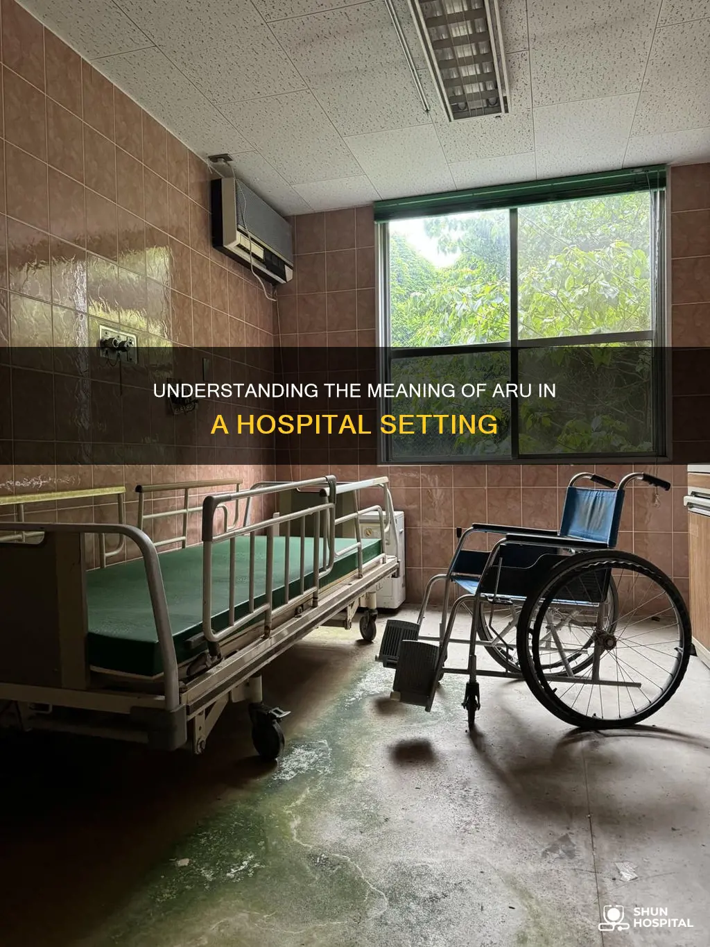 what does aru stand for in hospital