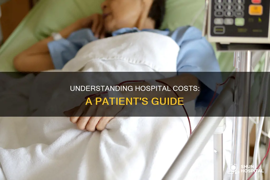 what does avisit to the hospital cost