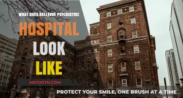 Bellevue Psychiatric Hospital: A Look Inside