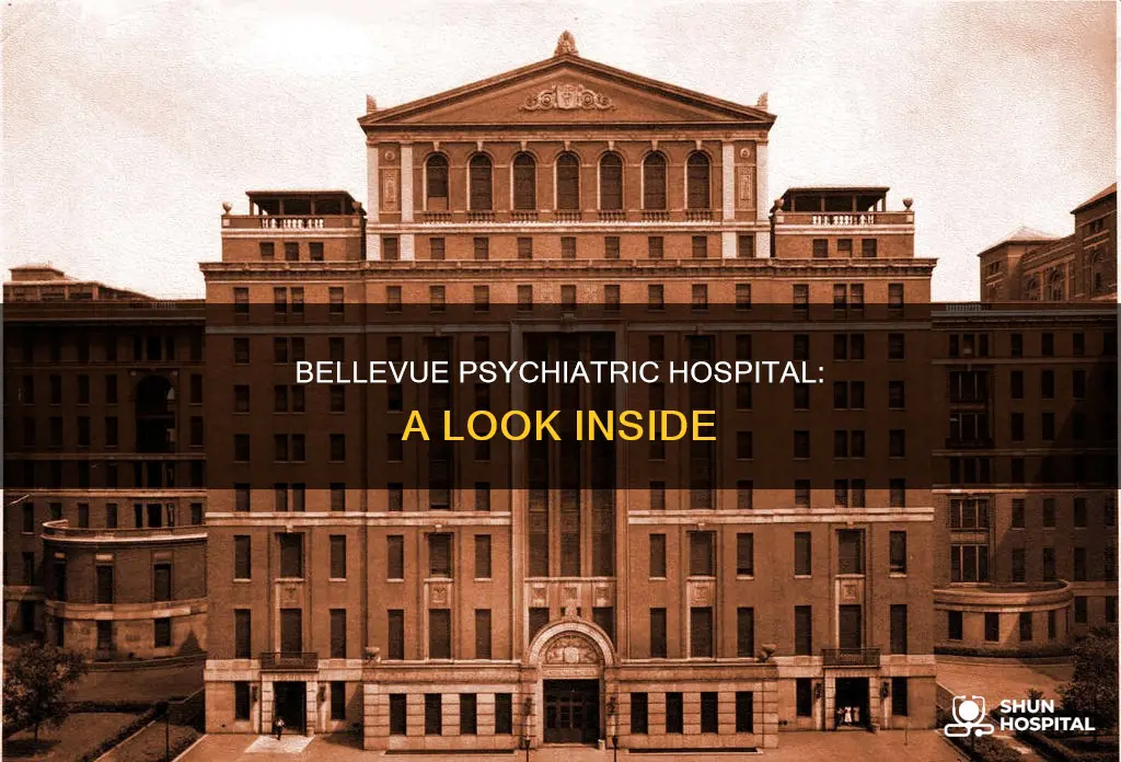 what does bellevue psychiatric hospital look like