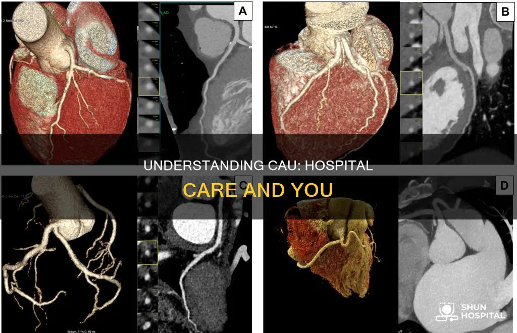 what does cau stand for in hospital