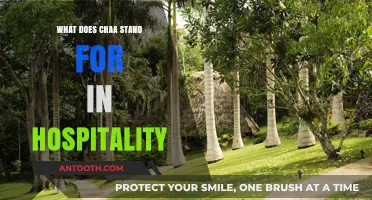 Hospitality's Chaa: What Does It Mean?