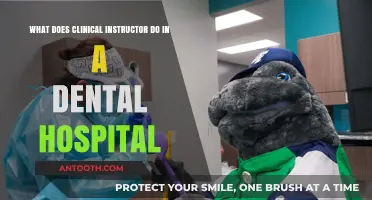 Role of a Clinical Instructor in Dental Hospital Settings Explained