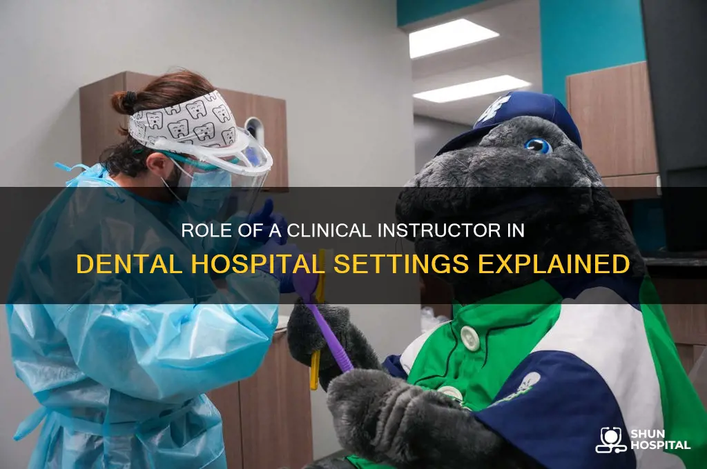 what does clinical instructor do in a dental hospital