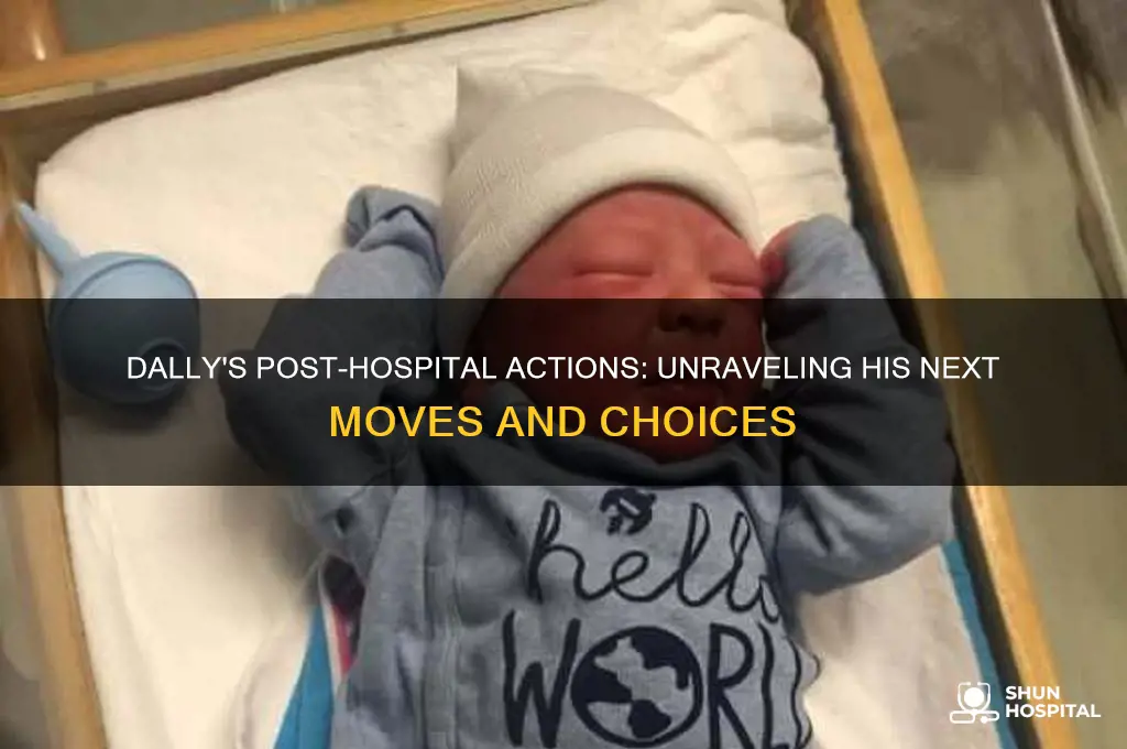 what does dally do after he leaves the hospital