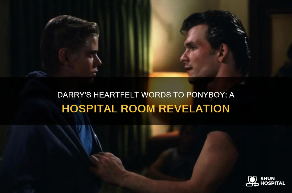 what does darry say to ponyboy at the hospital