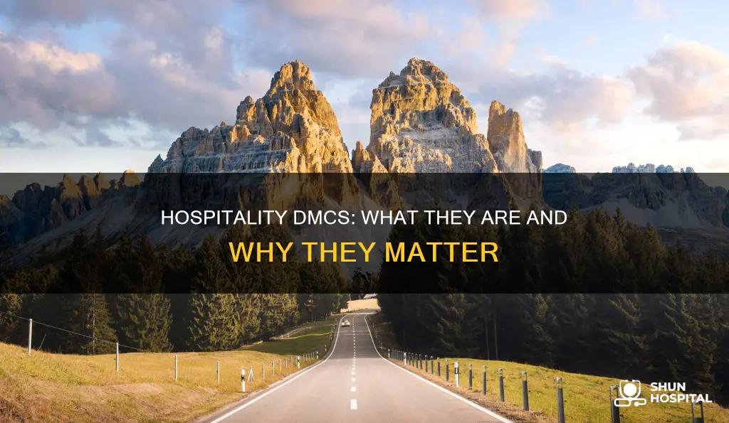 what does dmc stand for in hospitality