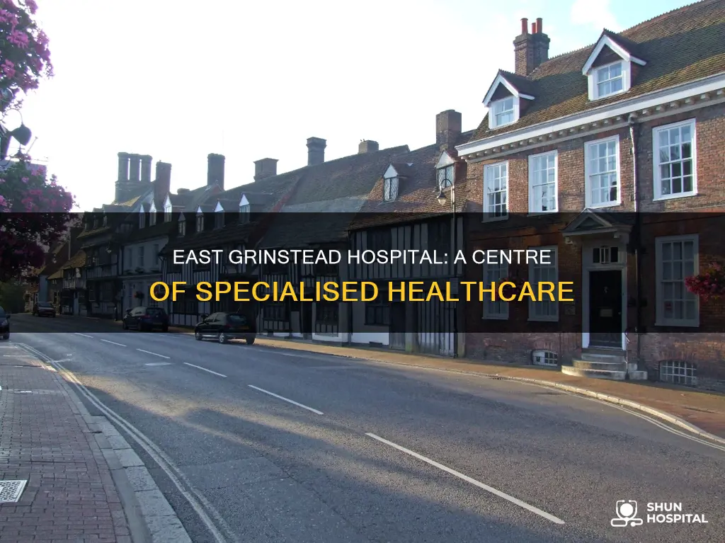 what does east grinstead hospital specialise in
