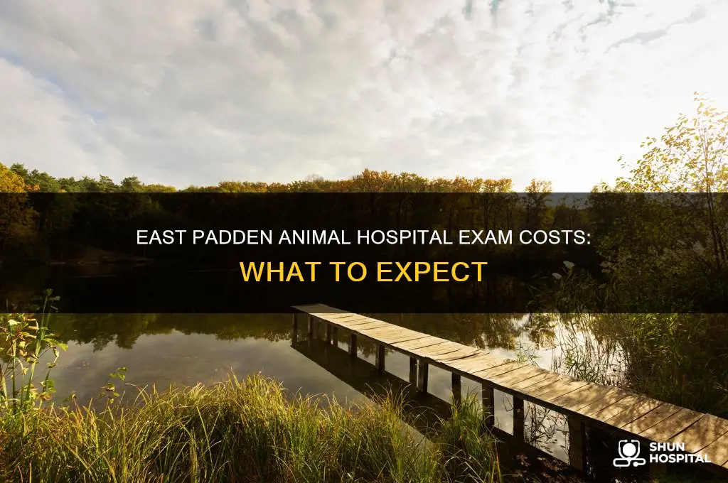 what does east padden animal hospital charge for exams