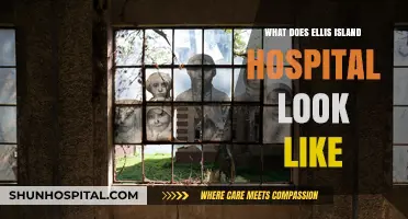Ellis Island Hospital: A Glimpse Inside