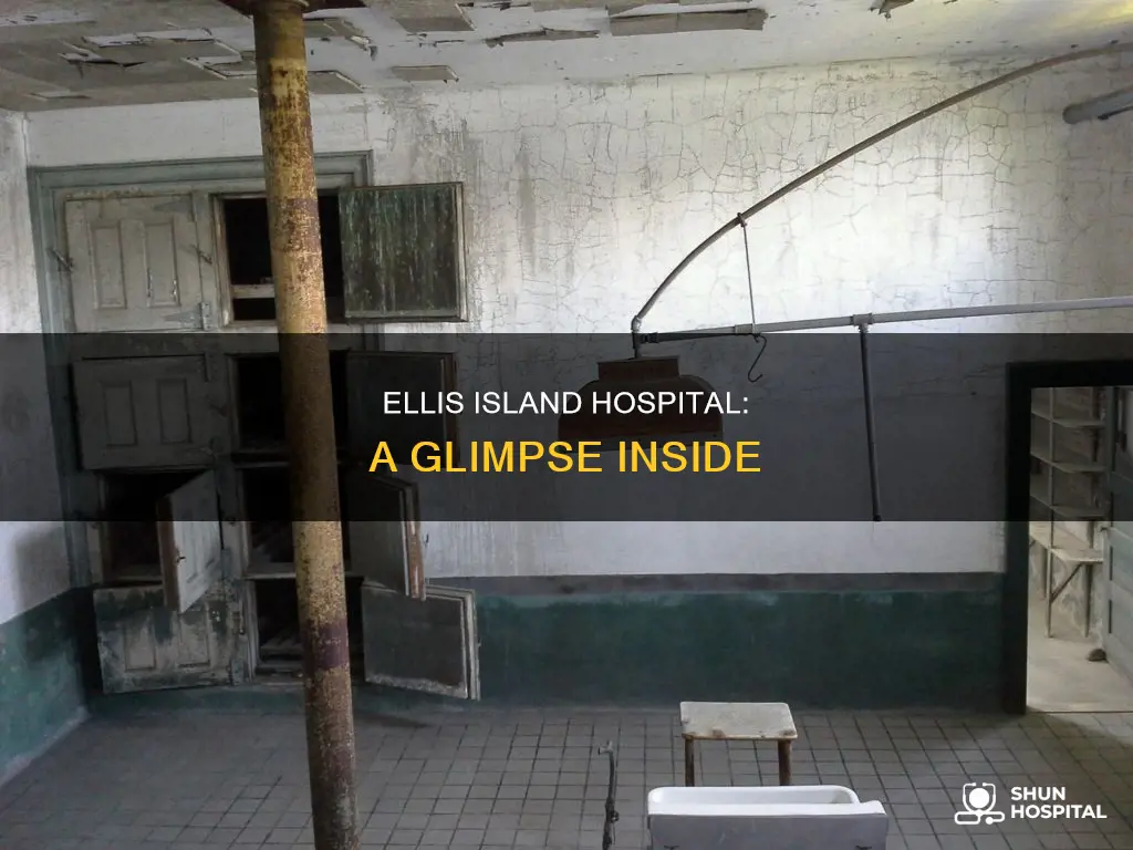 what does ellis island hospital look like