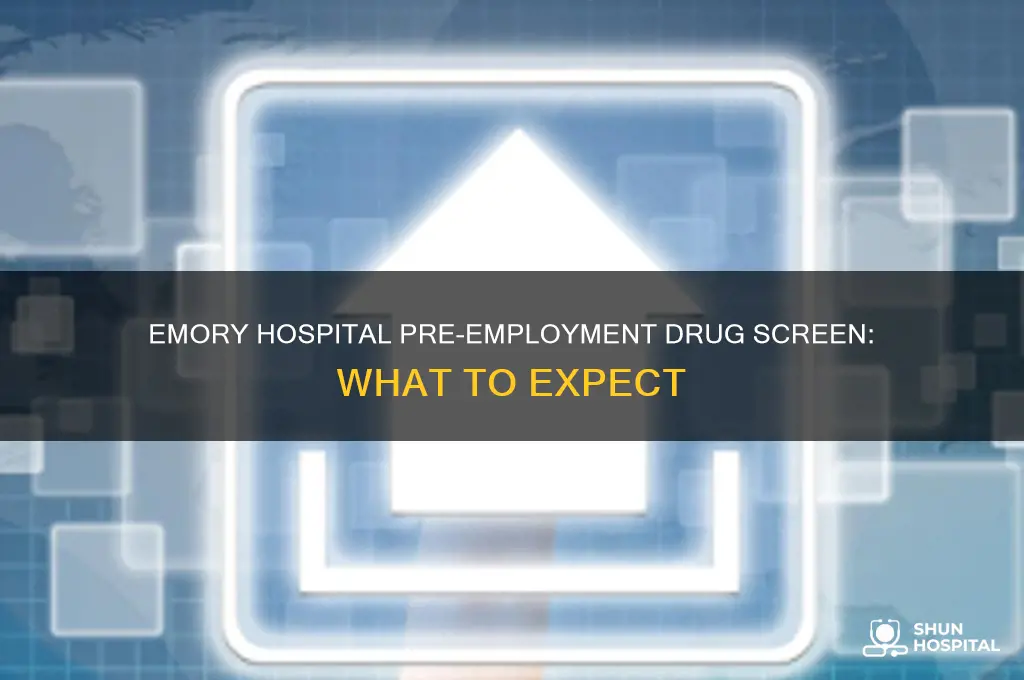 what does emory hospital pre-employment drug screen entail