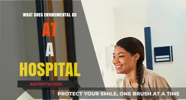 Hospital Environmental Services: Ensuring Sanitation and Safety