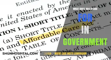 The Meaning of HHS in the US Government