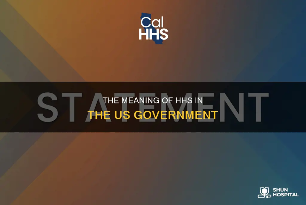 what does hhs stand for in government