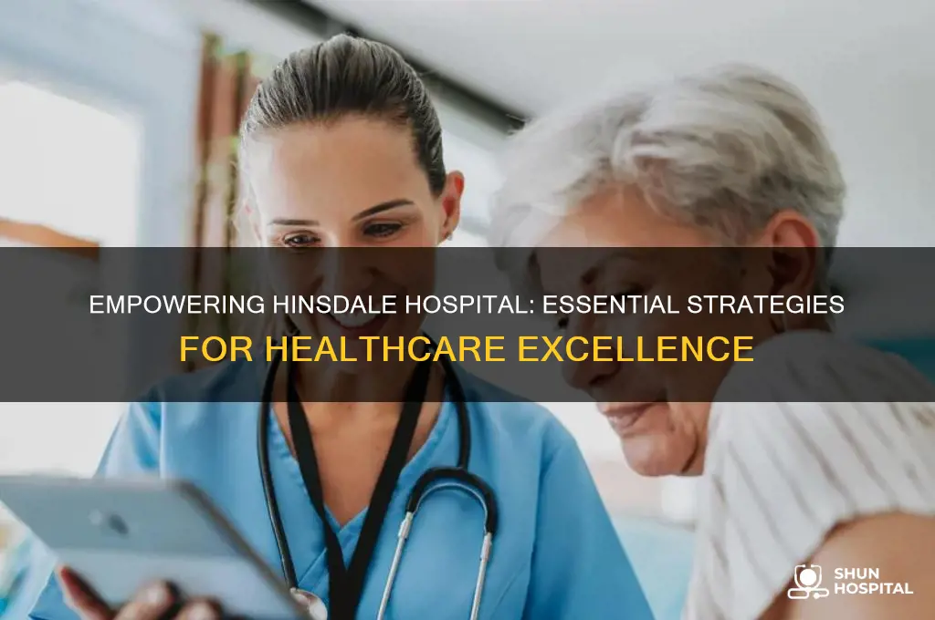 what does hinsdale hospital need for power of healthcare