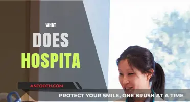 Understanding Hospital Care: What Does 'Hospita' Mean for Patients?
